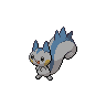 Dark Pachirisu